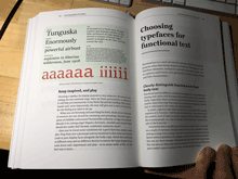 Web Typography page spread