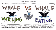Whale watching vs. whale eating: part of the Typographer's Guide to Iceland